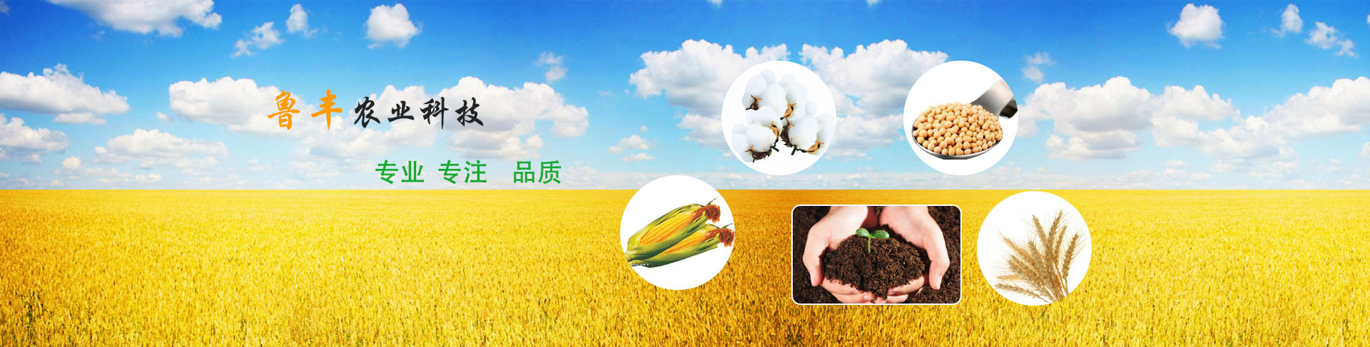 魯豐農業